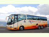 Arrive des Anglais  bord d'un bus "Abbot coach travel"

