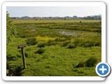 Vasières, marais, fossés et étangs attirent les oiseaux.